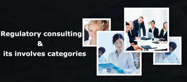 Regulatory Consulting and It Involves Categories