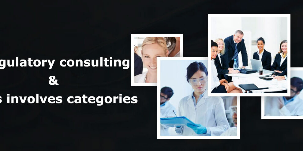 Regulatory Consulting and It Involves Categories